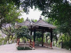 -龙头寺公园