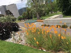 -墨尔本皇家植物园