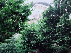 -复旦大学附属华山医院(总院)
