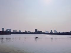 -海珠湖公园