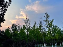 -北坞公园