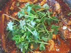 -杨林闻老三酸菜鱼(总店)