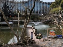 -上海醉白池公园