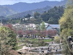 -雅安上里古镇
