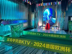 -宝岛甲壳虫KTV(蓝天路店)