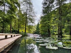 -云溪植物园