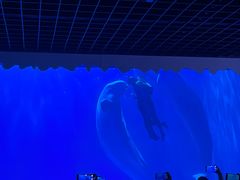 -多彩贵州城极地海洋世界