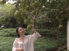 -法云安缦酒店