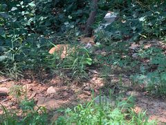 -北京西山国家森林公园