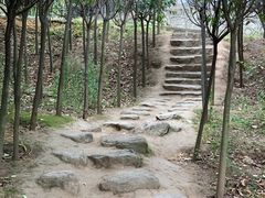 -终南山国家森林公园