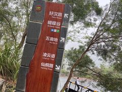 -梧桐山风景名胜区