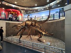 -国家自然博物馆