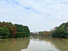 -上海海湾国家森林公园