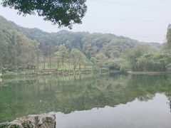-忠山公园