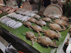 晚市海鲜自助-五月罗马海鲜自助餐厅(陆家嘴店)