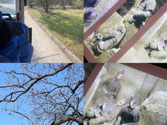 -秦始皇帝陵博物院-丽山园