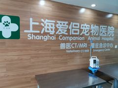 -爱侣宠医·鹦鹉专科·小型哺乳类·异宠专科(灵石路店)