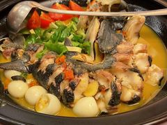 -饭怕鱼·黄焖鲟龙鱼(湖大店)