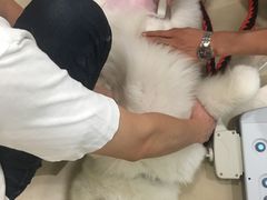 -美迦爱-牙专科·兔科·骨科诊疗中心(北苑店)