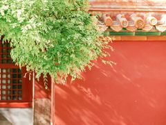 -故宫博物院(故宫)