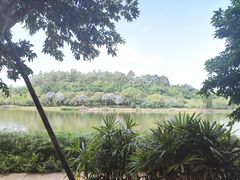 -南国桃园旅游度假区