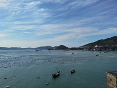 -枸杞岛