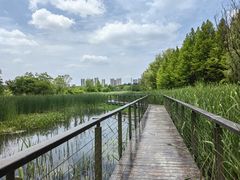 -昆山城市生态森林公园