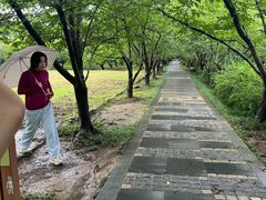 -香雪海