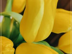 -Again Coffee Roaster(香蜜湖店)