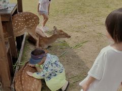 -鹿境梅花鹿生态园区