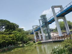-东莞植物园