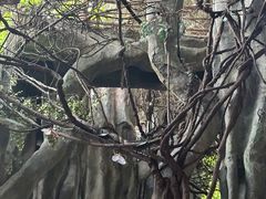 -横店影视城梦幻谷园区