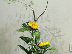 -白鹭原茶艺馆
