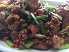 -生态苑农庄(十里画廊遇龙河店)