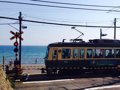 -樱花国际日语(徐家汇中心)