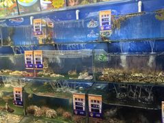 -小船渔村•大连菜•大连焖鱼(明泽街店)