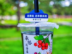 -承德避暑山庄景区