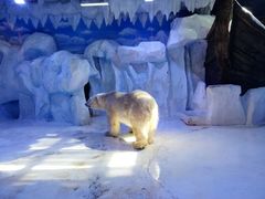 -芜湖新华联大白鲸海洋公园