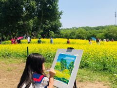 -长白岛森林公园