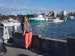 -悉尼海港大桥