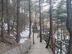 -老界岭旅游度假区