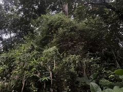 -七仙岭温泉国家森林公园