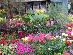 -重庆市江北嘴中央商务区中央公园