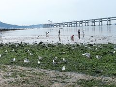 -黑石礁公园