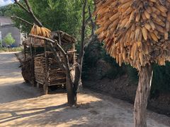 -梁家河村红色旅游区