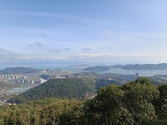 -黄贤森林公园