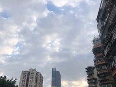 -晓港公园