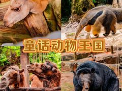 -长鹿旅游休博园
