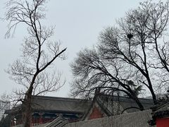 -北京艺术博物馆(万寿寺)