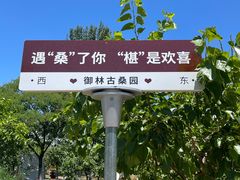 -御林古桑园